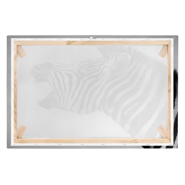 Schöne Wandbilder Brüllendes Zebra II