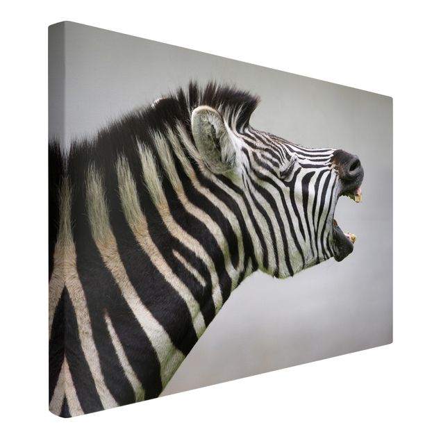 Leinwandbilder Tier Brüllendes Zebra