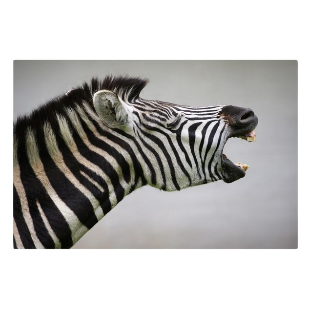 Leinwandbilder Wohnzimmer modern Brüllendes Zebra
