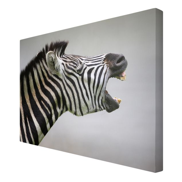 Schöne Wandbilder Brüllendes Zebra