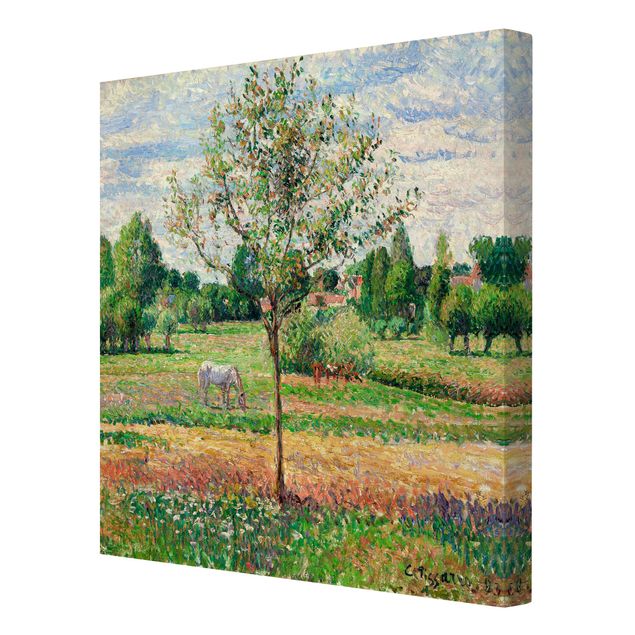 Leinwandbilder Natur Camille Pissarro - Wiese mit Schimmel