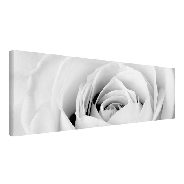 Wandbilder Schwarz-Weiß Close Up Rose