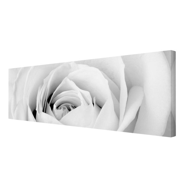 Schöne Wandbilder Close Up Rose
