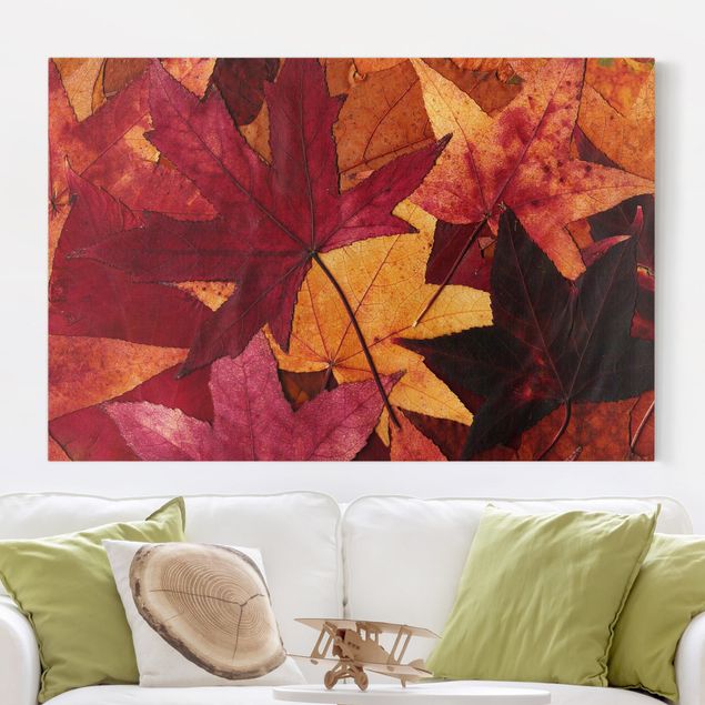 Wandbilder XXL Coloured Leaves