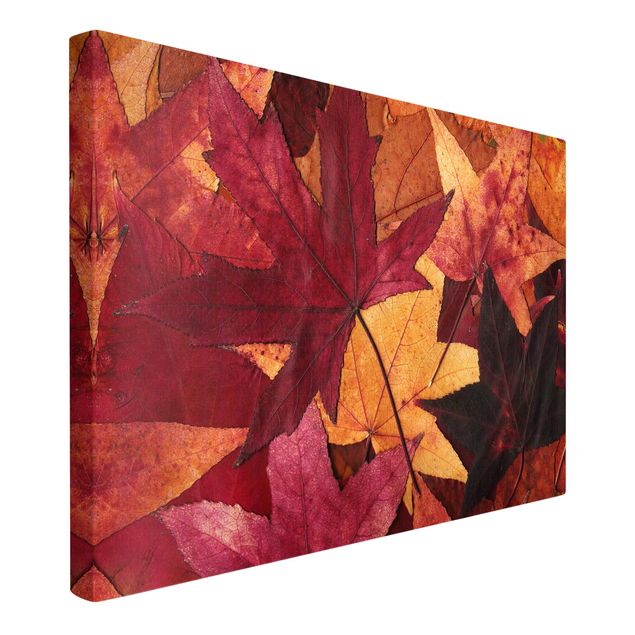 Wandbilder Wohnzimmer modern Coloured Leaves