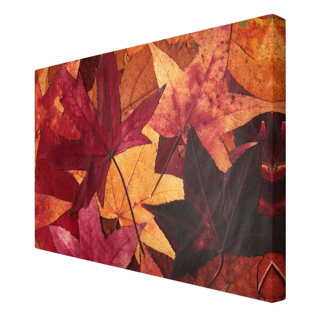 Leinwandbilder Coloured Leaves
