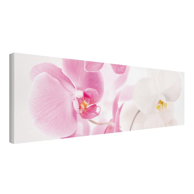 Moderne Leinwandbilder Wohnzimmer Delicate Orchids