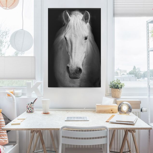 Leinwand Pferde Dream of a Horse