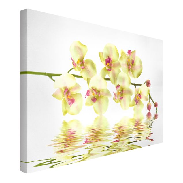 Moderne Leinwandbilder Wohnzimmer Dreamy Orchid Waters