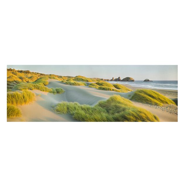Leinwandbilder Strand Dünen und Gräser am Meer
