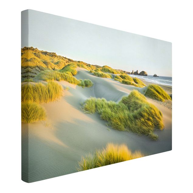 Leinwandbilder Landschaft Dünen und Gräser am Meer