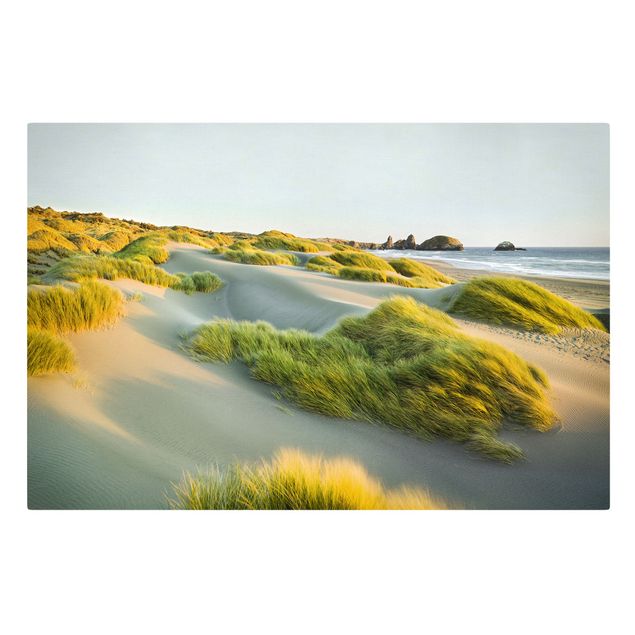 Leinwandbilder Strand Dünen und Gräser am Meer