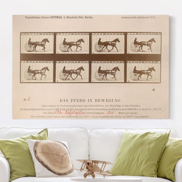 Leinwandbilder XXL Eadweard Muybridge - Das Pferd in Bewegung