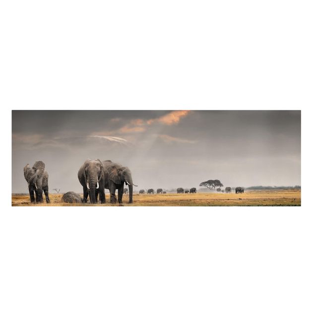Leinwandbilder Landschaft Elefanten der Savanne