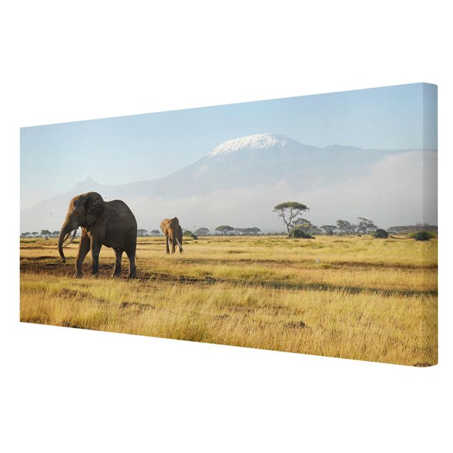 Tierbilder auf Leinwand Elefanten vor dem Kilimanjaro in Kenya
