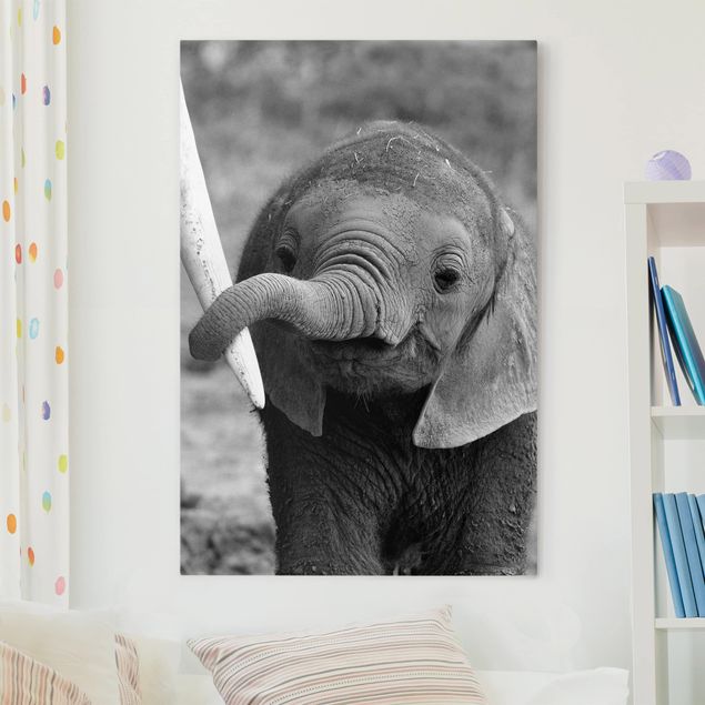 Leinwand Bilder XXL Elefantenbaby