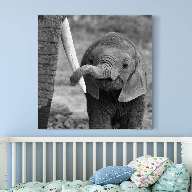 Leinwandbilder XXL Elefantenbaby