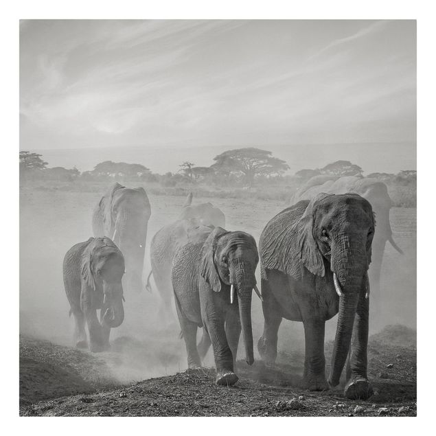Leinwandbilder Landschaft Elefantenherde