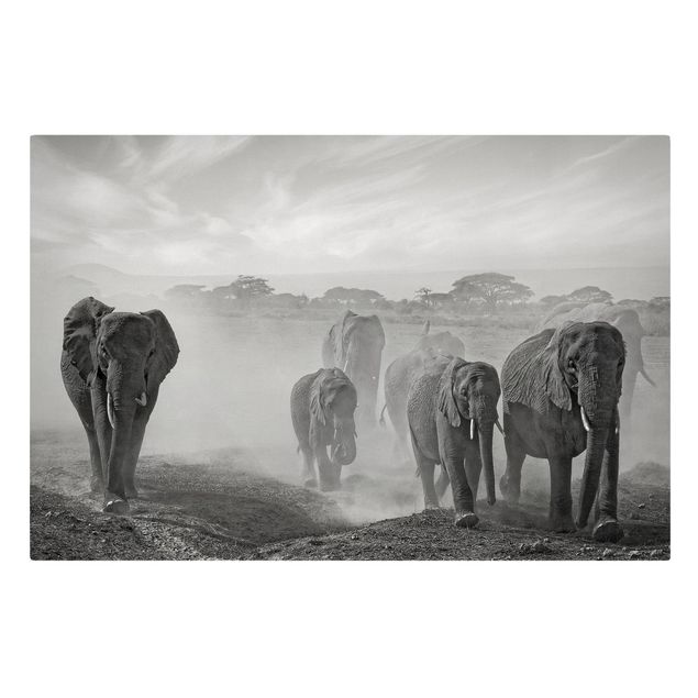 Leinwandbilder Natur Elefantenherde