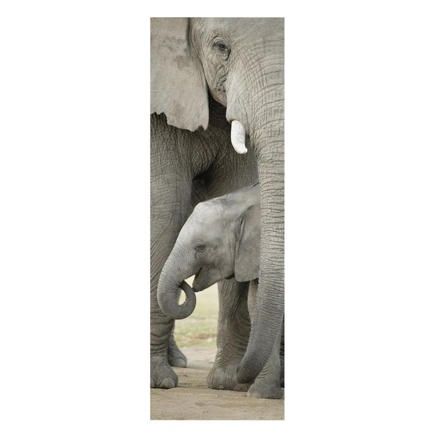Leinwandbilder Wohnzimmer modern Elefantenliebe