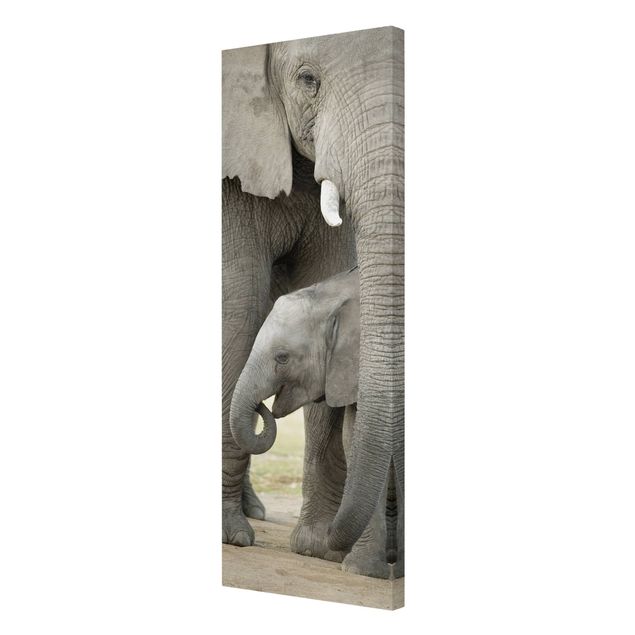 Schöne Wandbilder Elefantenliebe