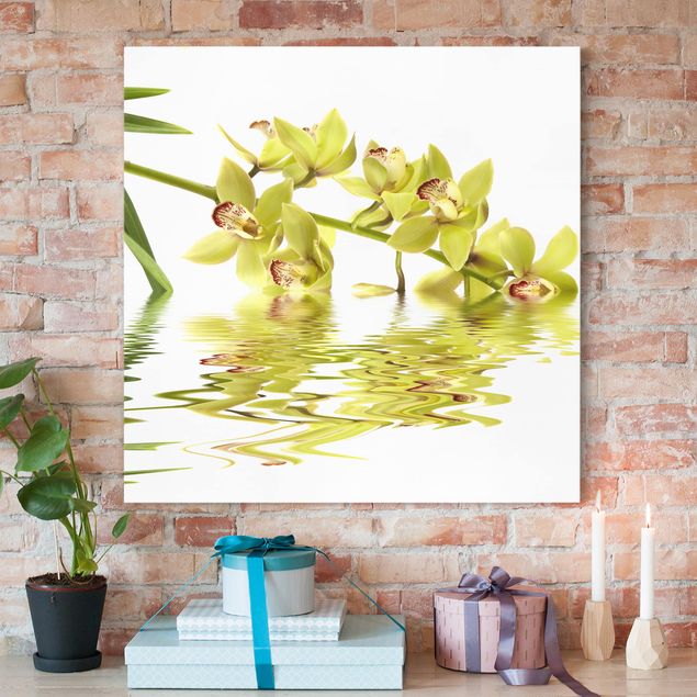 Wandbilder XXL Elegant Orchid Waters