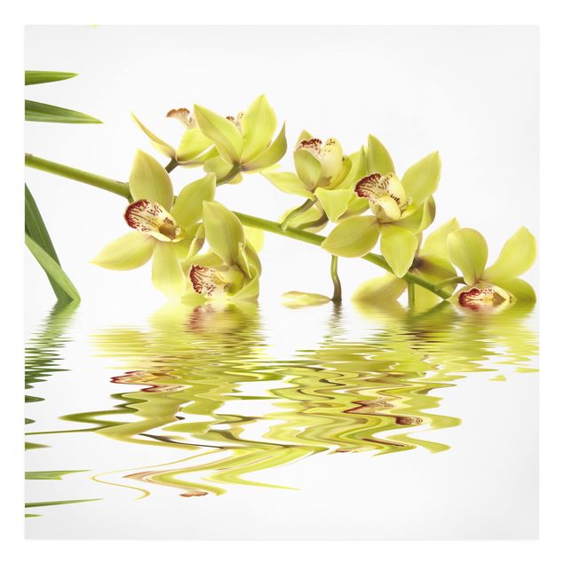 Wandbilder Elegant Orchid Waters