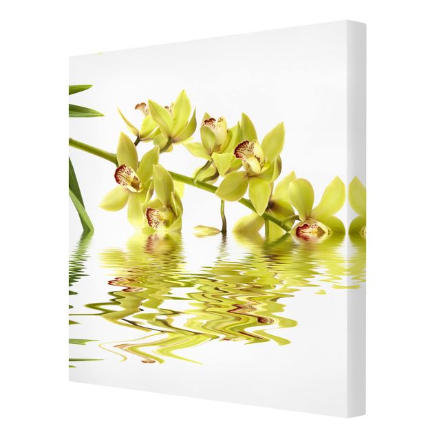 Leinwandbilder Elegant Orchid Waters