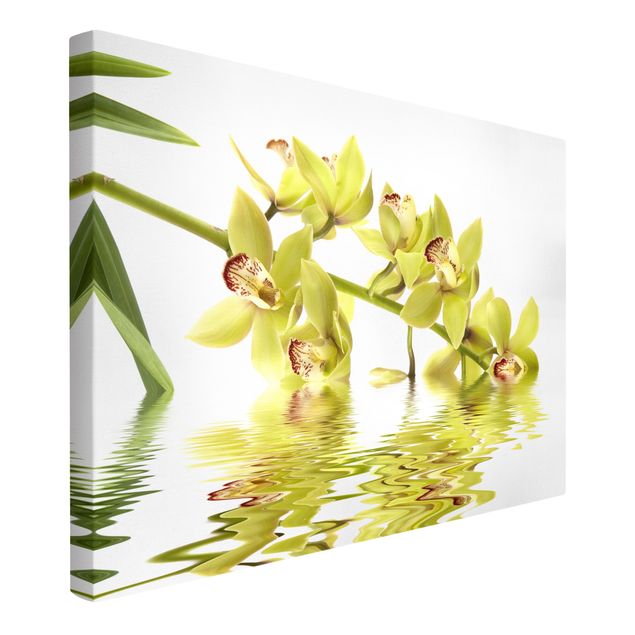 Moderne Leinwandbilder Wohnzimmer Elegant Orchid Waters
