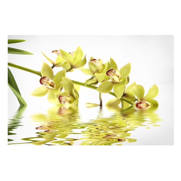 Bilder für die Wand Elegant Orchid Waters