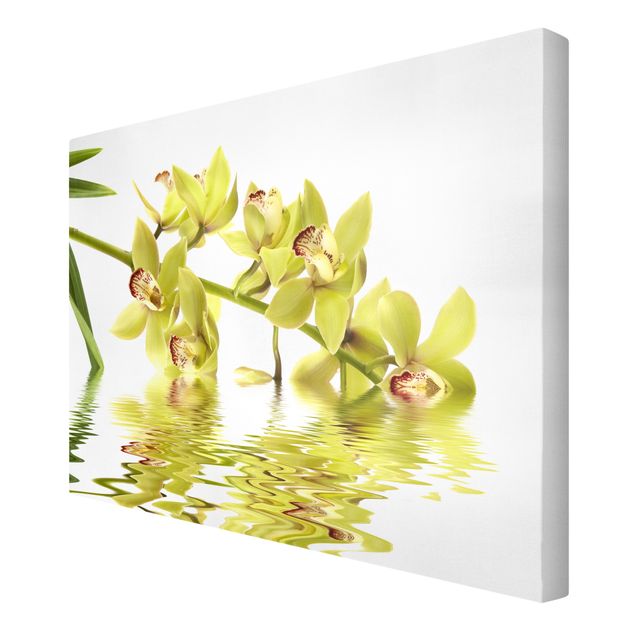 Schöne Leinwandbilder Elegant Orchid Waters