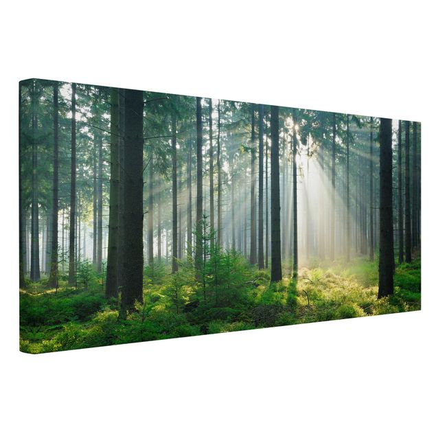 Moderne Leinwandbilder Wohnzimmer Enlightened Forest