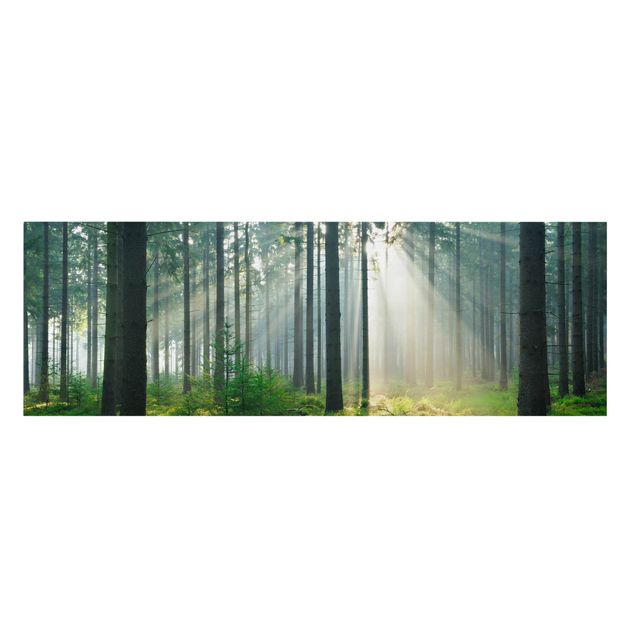 Schöne Wandbilder Enlightened Forest