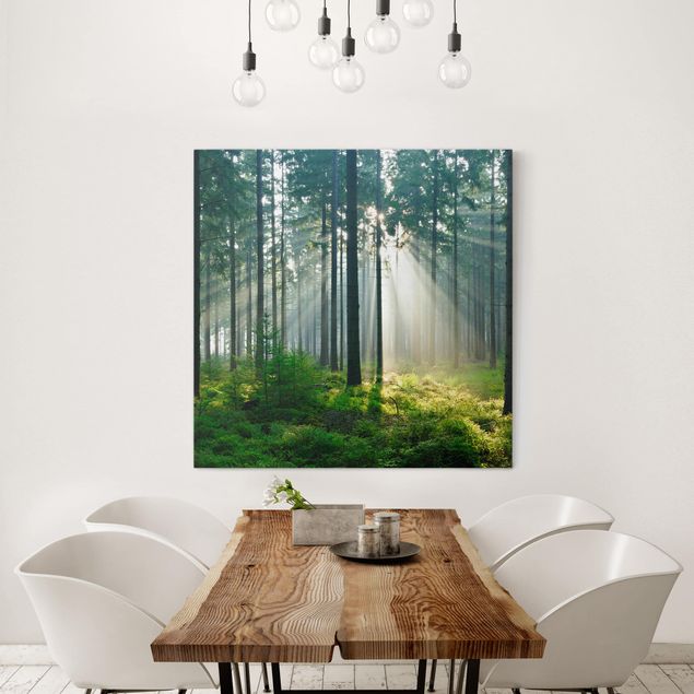 Leinwandbilder Wald Enlightened Forest