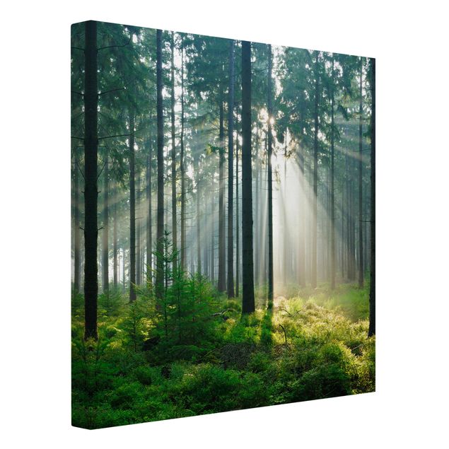 Leinwandbilder Wohnzimmer modern Enlightened Forest
