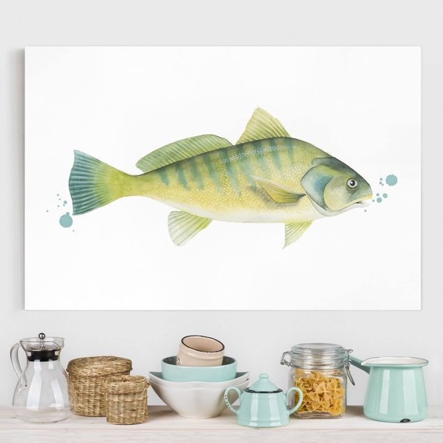 Leinwandbilder Fische Farbfang - Flussbarsch