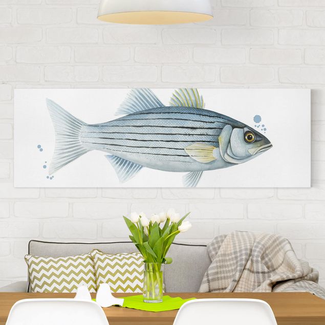 Leinwandbilder Fische Farbfang - Weißbarsch