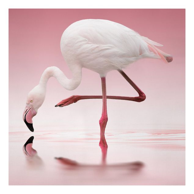 Moderne Leinwandbilder Wohnzimmer Flamingo Dance