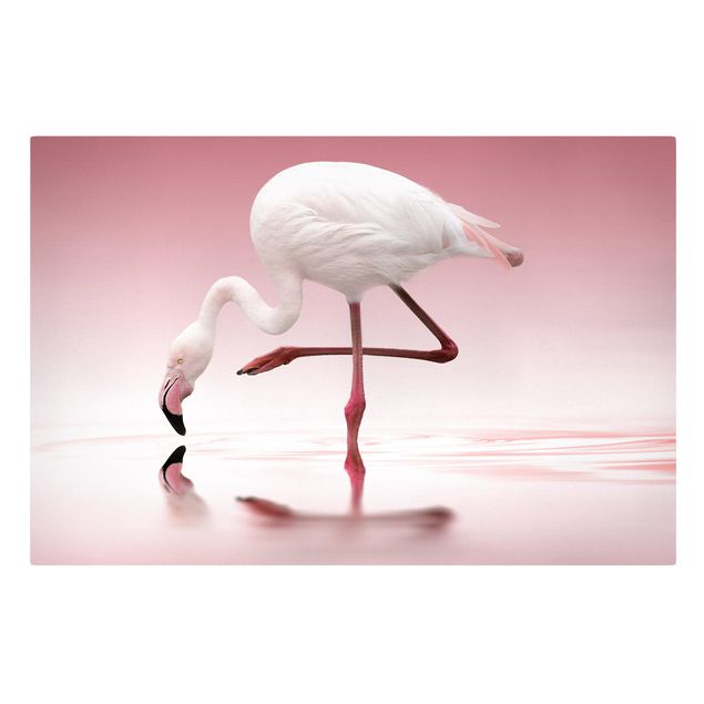 Moderne Leinwandbilder Wohnzimmer Flamingo Dance