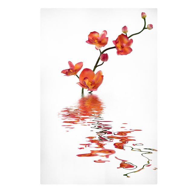 Wandbilder Flamy Orchid Waters