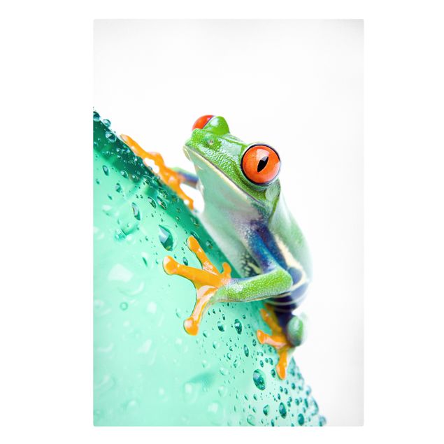 Leinwandbilder Wohnzimmer modern Frog
