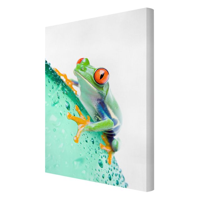 Schöne Wandbilder Frog