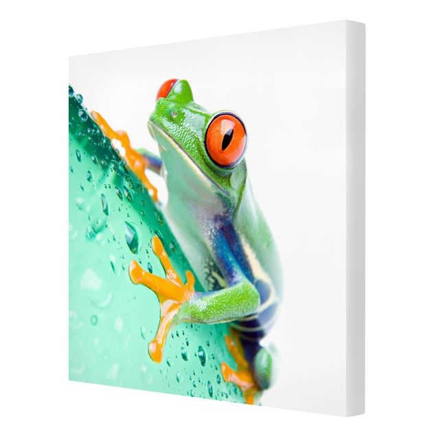 Bilder für die Wand Frog