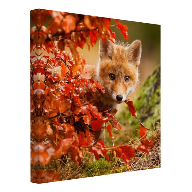 Wandbilder Wald Fuchs im Herbst