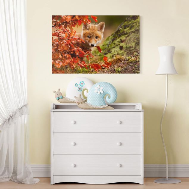Leinwandbilder Natur Fuchs im Herbst