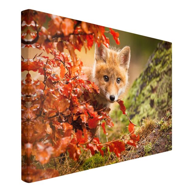 Leinwandbilder Wald Fuchs im Herbst