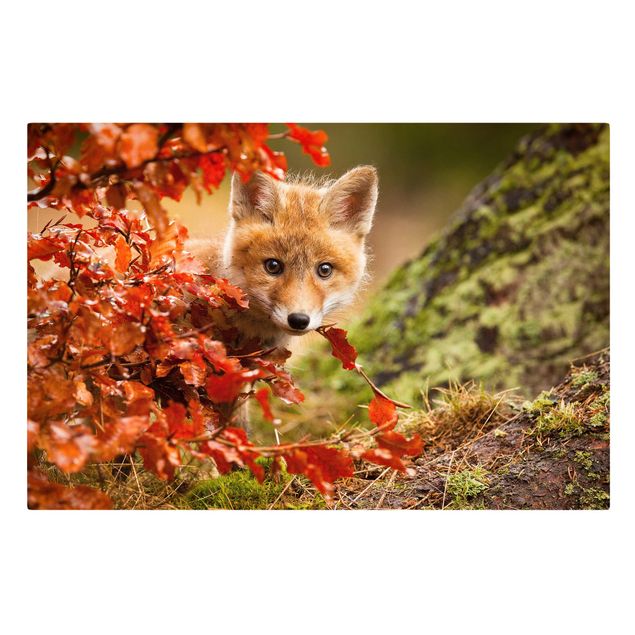 Leinwandbilder Tier Fuchs im Herbst