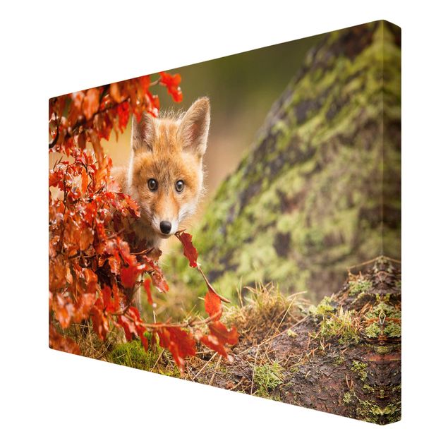 Leinwandbilder Wohnzimmer modern Fuchs im Herbst