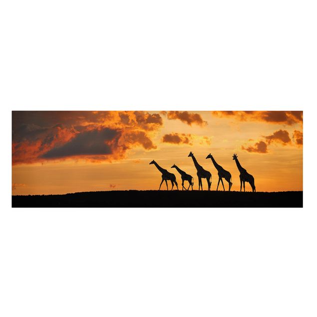 Tierbilder auf Leinwand Fünf Giraffen