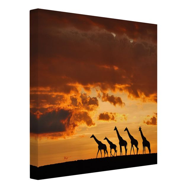 Leinwandbilder Natur Fünf Giraffen